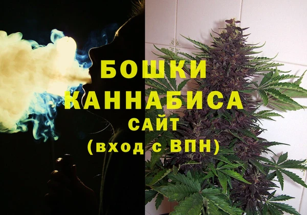 мдпв Заводоуковск
