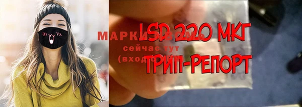 прущие грибы Заволжье