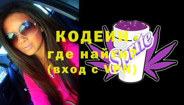 мдпв Заводоуковск