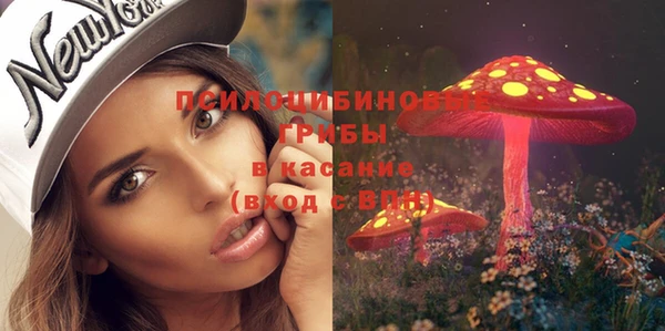 не бодяженный Зерноград