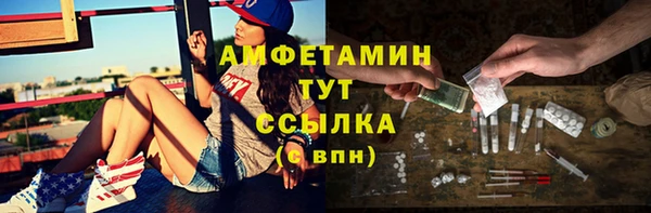 индика Зеленокумск