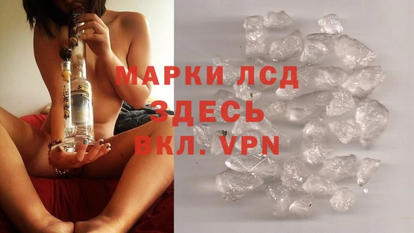 стаф Зеленодольск