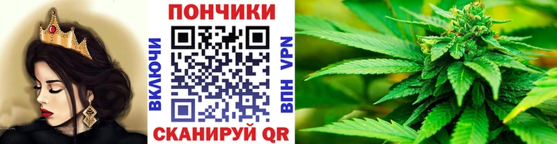 Каннабис SATIVA & INDICA  Купить закладки  Котовск 